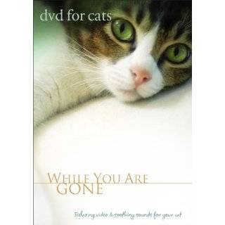 DVD For Cats While You Are Gone