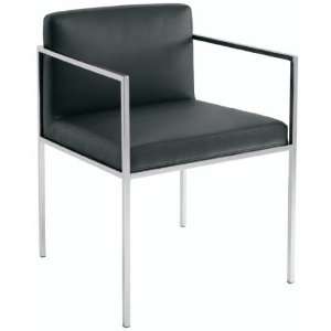  Nuevo Living Paolo Dining Chair: Home & Kitchen