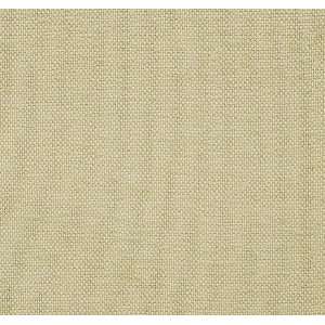  2413 Bloomfield in Ivory by Pindler Fabric
