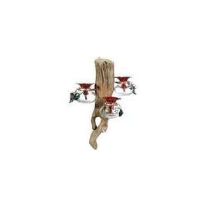  Hummingbird Feeder   Driftwood with Clear Glass: Home & Kitchen