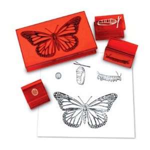    Learning Resources LER1115 Butterfly Life Cycle Stamp Toys & Games