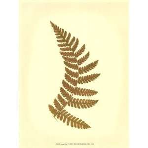  Lowes Fern VI (PP)   Poster by E.J. Lowe (9.5x13)