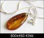 Fossil Insect FLY in BALTIC AMBER Pendant w Silver 18  
