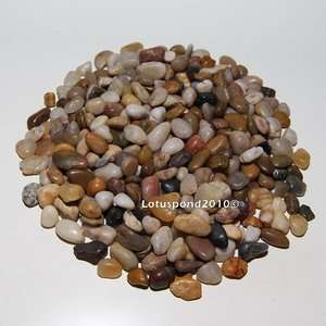 30 lbs Multi Color Polished River Rock Pebble Stone 0.5  0.75 Garden 