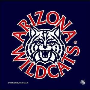  Arizona Wildcats NCAA Car Flag