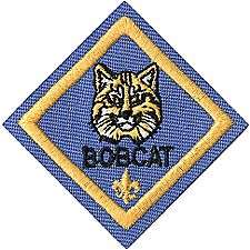 Cub Scout BOBCAT RANK Merit Badge Patch Boy Scout BSA  