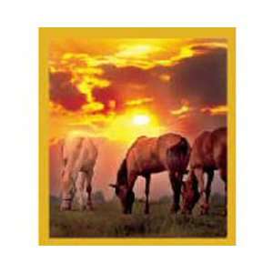  Magnetic Bookmark Horses At Sunset, Beautiful and Colorful 