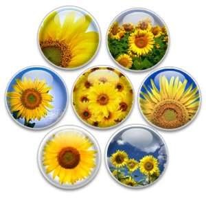   Decorative Push Pins or Magnets 7 Small Sunflowers: Kitchen & Dining