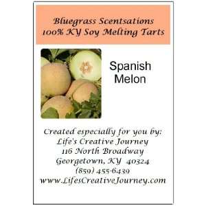   : Handmade 100% KY Soy Melting Tarts  Spanish Melon: Everything Else