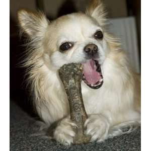    Dental Bone for Dogs   Z Ridge Fresh Breath