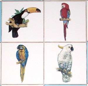 Cockatoo Parrot Macaw Tucan Bird Ceramic Tile Mural pcs  