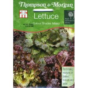   555 RHS Lettuce Colour Shades Mixed Seed Packet Patio, Lawn & Garden