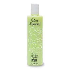 Primal Elements Citrus Melonmint, shampoo, Body Wash, Bubble Bath, 10 