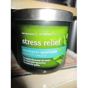   Stress Relief Eucalyptus Spermint Scented Candle: Everything Else