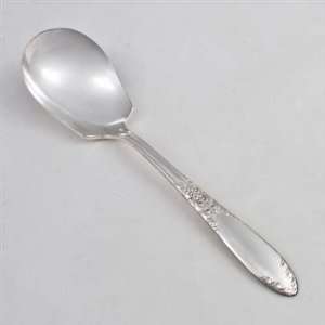  King Edward by National, Silverplate Sugar Spoon: Kitchen 