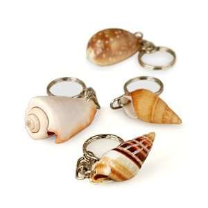  Natural Seashell Keychain