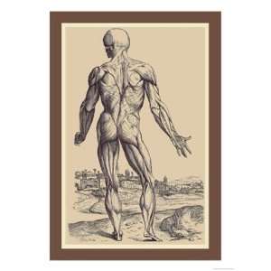 Ninth Plate of the Muscles by Andreas Vesalius 12x18:  