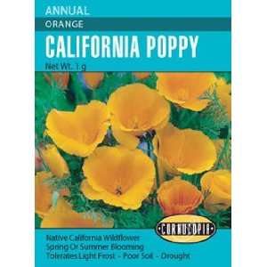 Poppy California Orange Seeds Patio, Lawn & Garden
