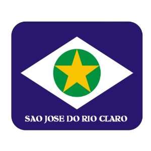  Brazil State   Mato Grosso, Sao Jose do Rio Claro Mouse 