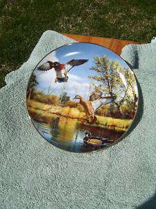 Duck * Collector Plate * David Maass * On The Wing (#2)  