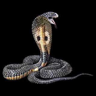   T SHIRT manches courtes serpent COBRA (toutes tailles)