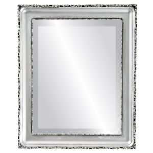  Kensington Rectangle in Silver Spray Mirror and Frame 