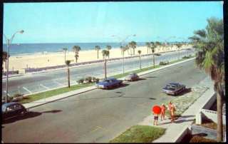 Postcard   Clearwater Beach, Florida 1960s  