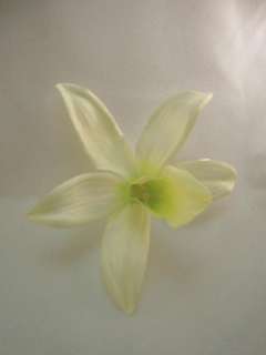 Tiny Green Vanilla Orchid Hair Flower Clip  