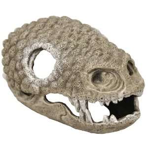  Exotic Environments Gila Monster Skull Aquarium Ornament 