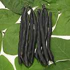 CHEROKEE TRAIL OF TEARS POLE BEANS 75 SEEDS HISTORICAL items in Marys 