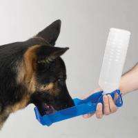 Handi Drink PORTABLE WATER BOTTLE 17 oz BLUE DOG  
