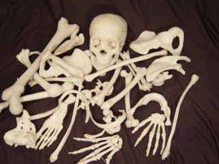 12lb Bag of Bones Bucky Skeleton Human Halloween Prop  