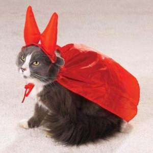 Cat Costume Clothes Evil One Kitten Dog One Size  
