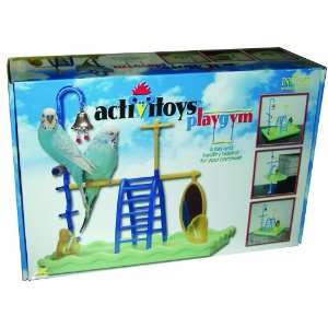  JW Pet Company Activitoys Play Gym Bird Toy: Pet Supplies