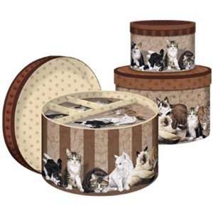  Kitty City Nesting Boxes   for Cat Lovers 