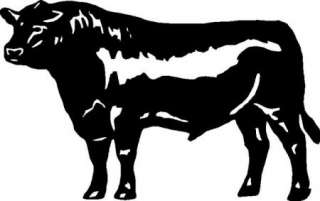 Black Angus Steer/Cow Sticker,Decal,Graphic  