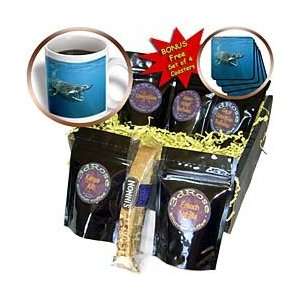   near the Lizard Peninsula   Coffee Gift Baskets   Coffee Gift Basket