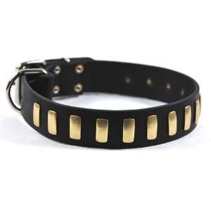  Dean & Tyler Plates Dog Collar Plated Perfection   High 