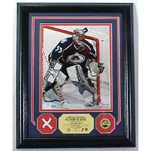 Patrick Roy 2002 All Star Used Net Photo Mint game112K