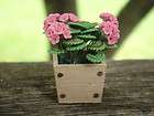 Dollhouse Miniatures ~ Pink Geraniums in Square Planter