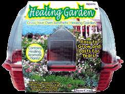 Healing Herb Indoor Window Terrarium Garden FAST SHIP  