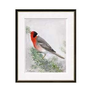  Cedar Waxwing Perched On A Tree Branch Framed Giclee Print 