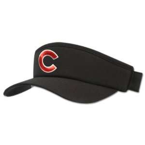   : Chicago Cubs Navy Logo Visor by American Needle: Sports & Outdoors