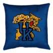 Kentucky Wildcats Bedding Collection  Target