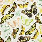 Michael Miller French Anjou Papillon Butterfly Cotton Q