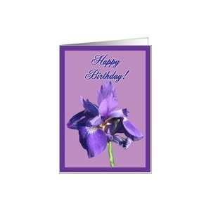  For Her Flower Birthday Purple Iris Floral Greeting Card 