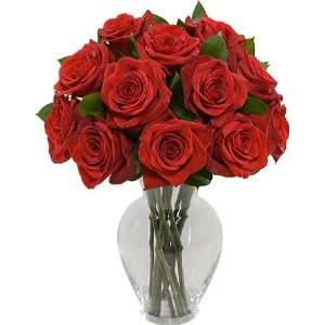 One Dozen Long Stem Red Roses without Vase  Grocery 
