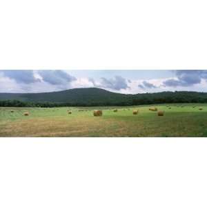  Hay Bales in the Farmland, Warren County, Tennessee, USA 